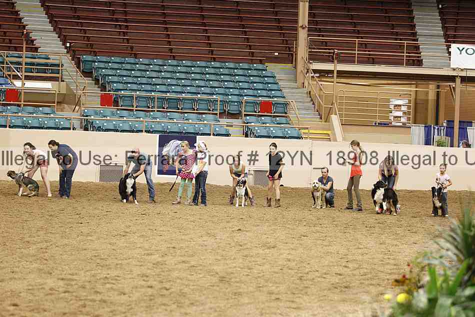 Proof 12yn_18908
