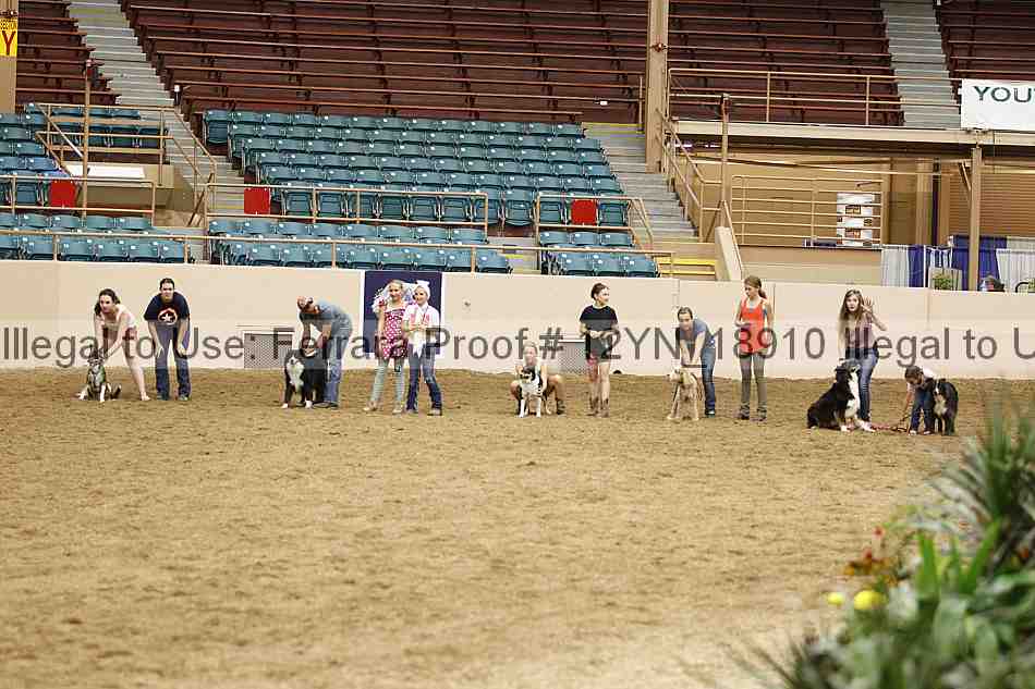 Proof 12yn_18910