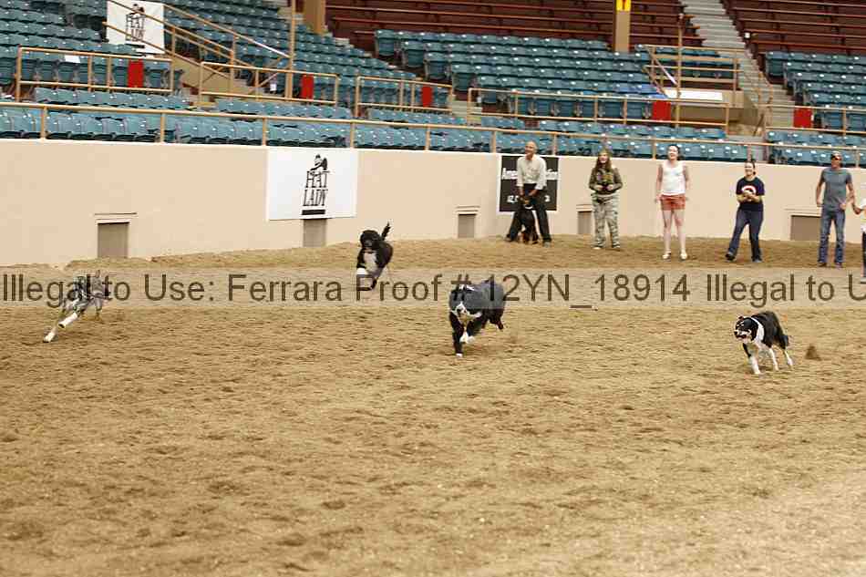 Proof 12yn_18914