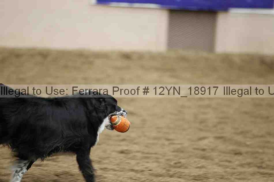Proof 12yn_18917