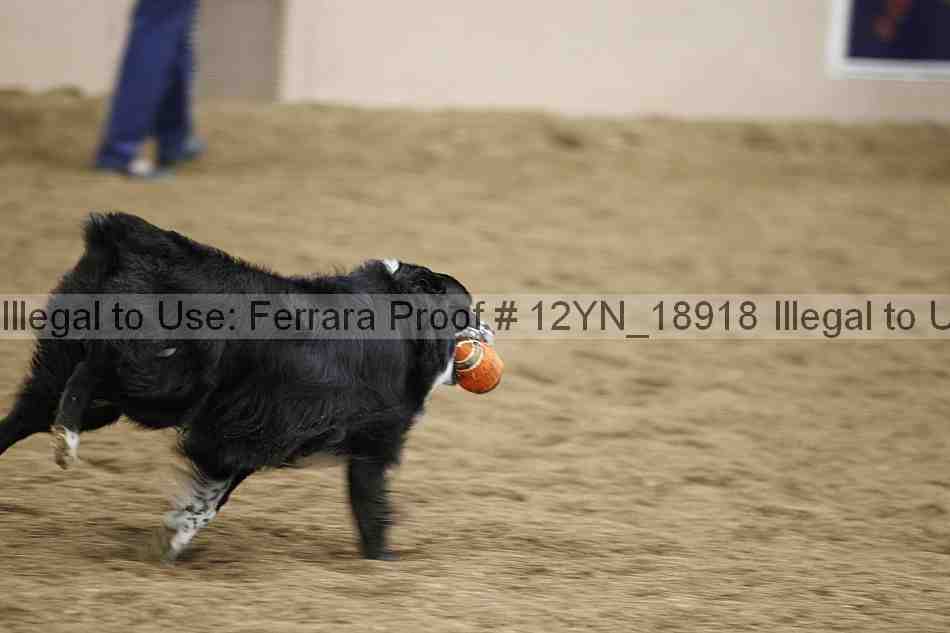 Proof 12yn_18918
