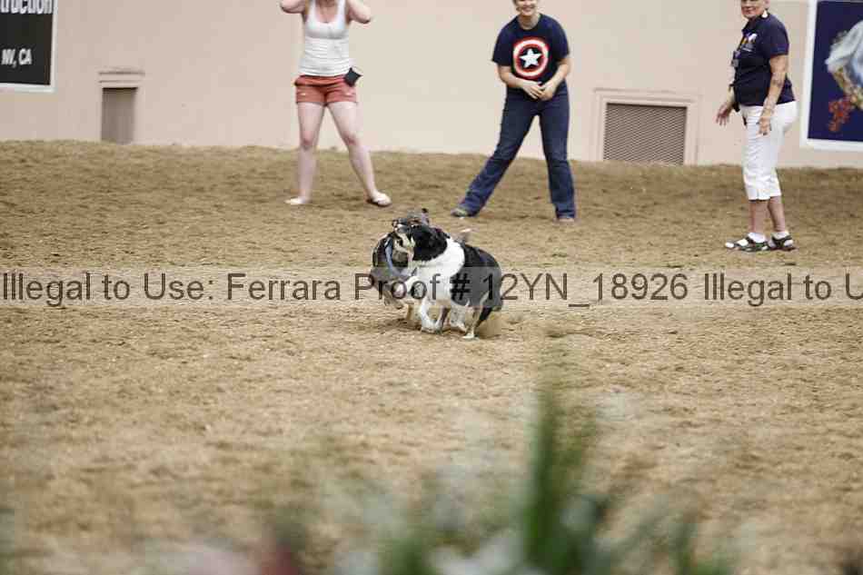 Proof 12yn_18926