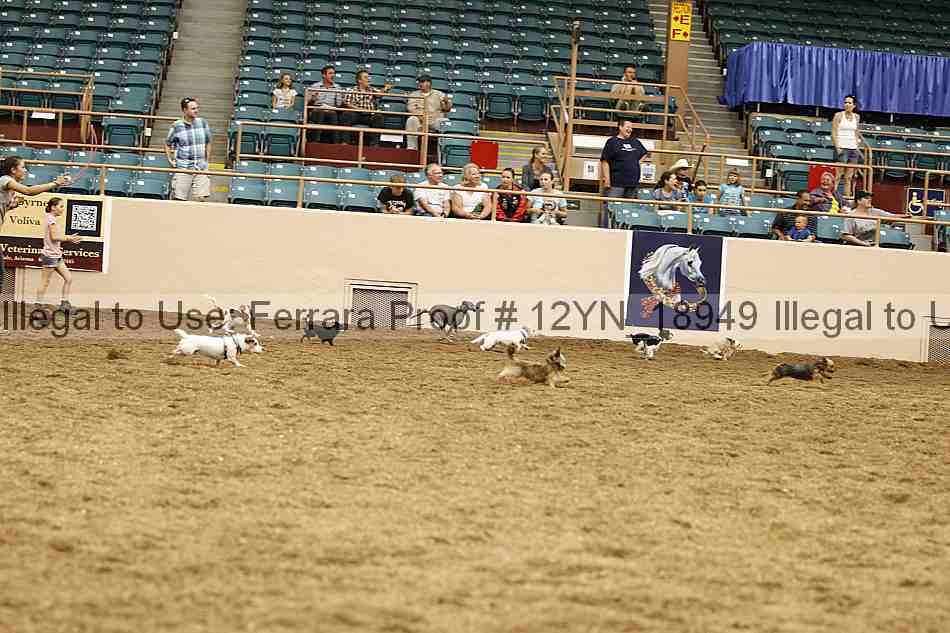 Proof 12yn_18949
