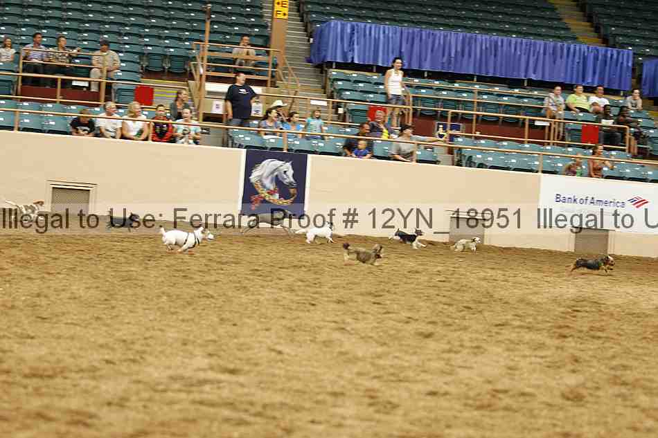 Proof 12yn_18951