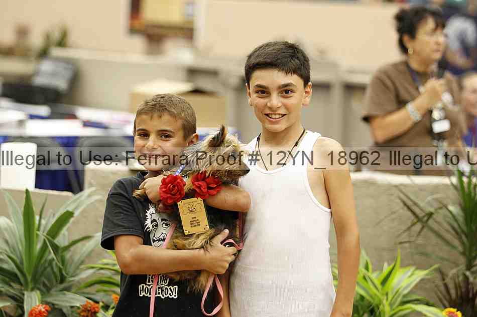 Proof 12yn_18962