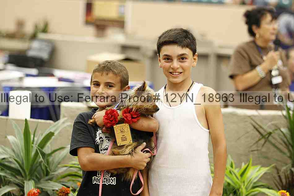 Proof 12yn_18963