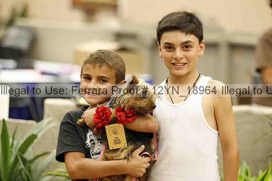 Proof 12yn_18964