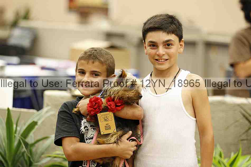 Proof 12yn_18965
