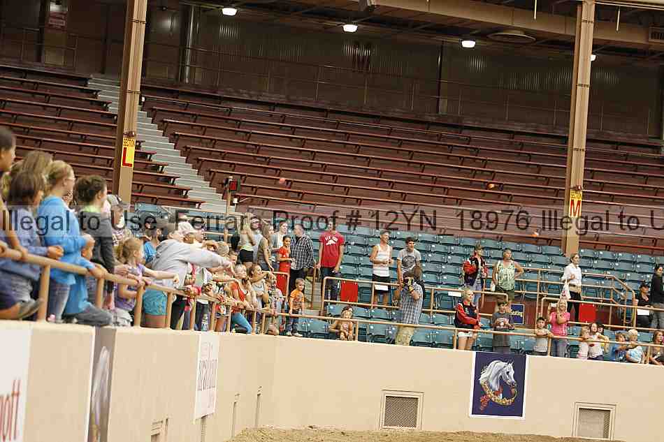 Proof 12yn_18976