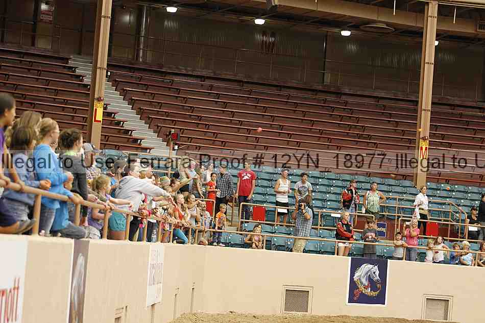 Proof 12yn_18977