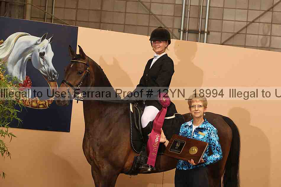 Proof 12yn_18994