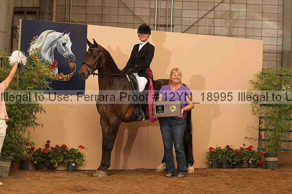 Proof 12yn_18995