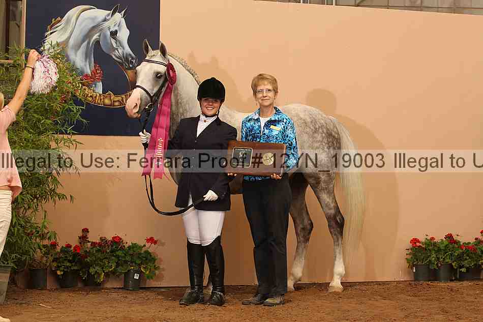 Proof 12yn_19003