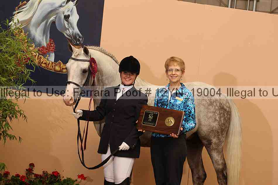 Proof 12yn_19004
