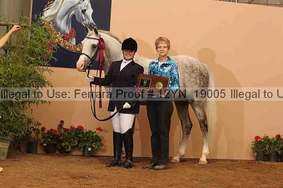 Proof 12yn_19005