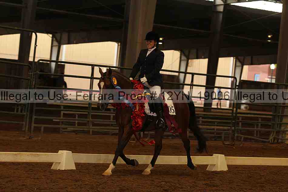 Proof 12yn_19006