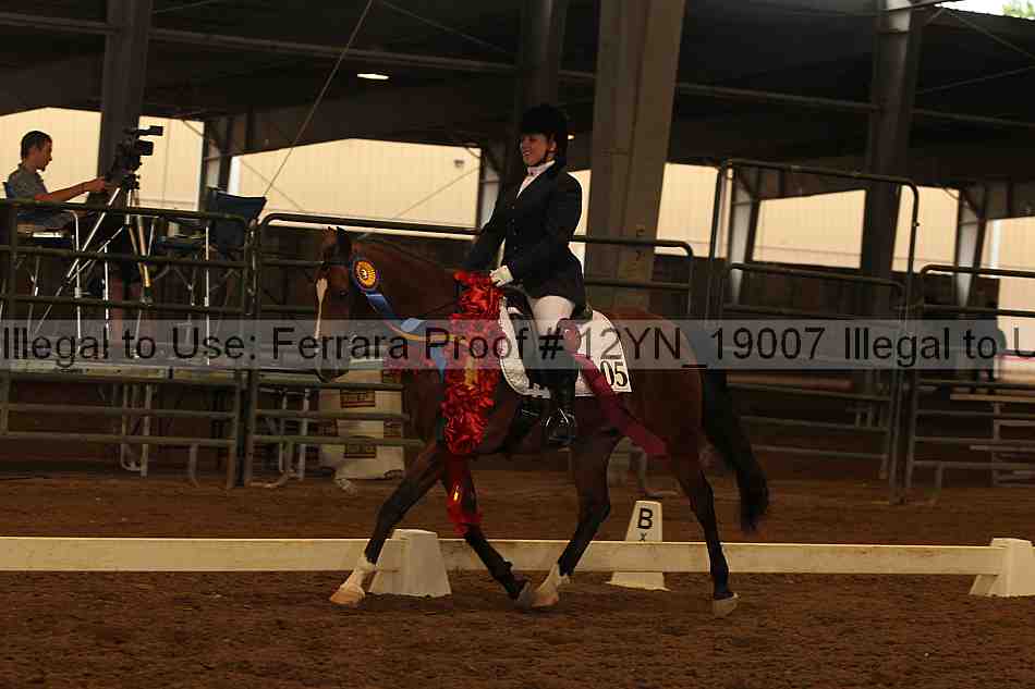 Proof 12yn_19007