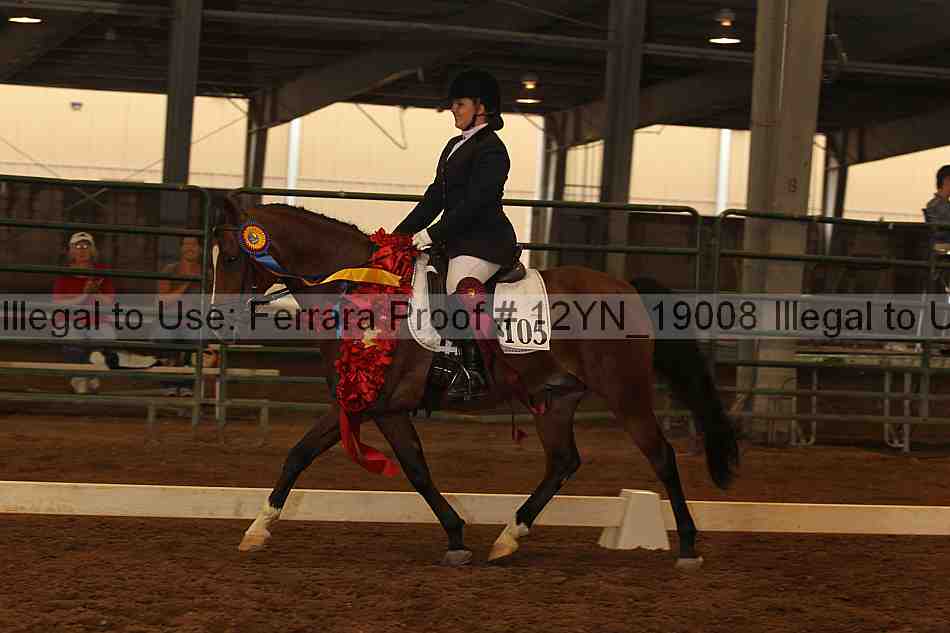 Proof 12yn_19008