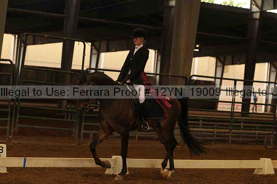 Proof 12yn_19009