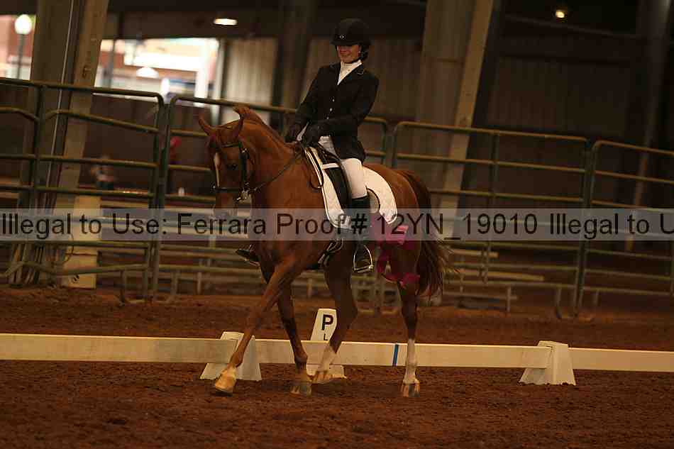 Proof 12yn_19010
