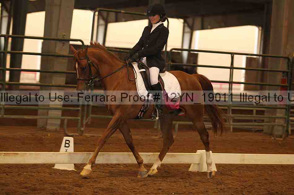 Proof 12yn_19011