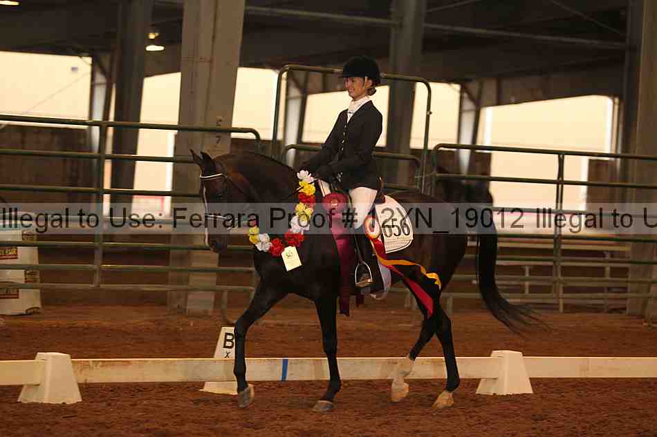 Proof 12yn_19012