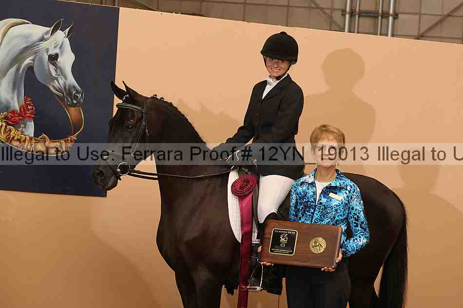Proof 12yn_19013