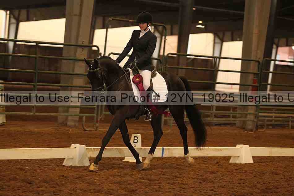 Proof 12yn_19025
