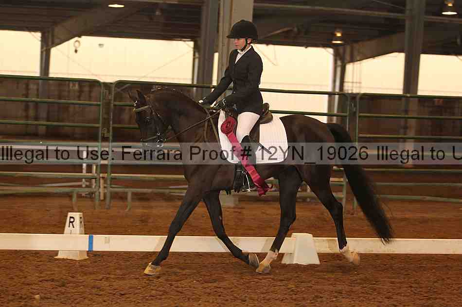 Proof 12yn_19026