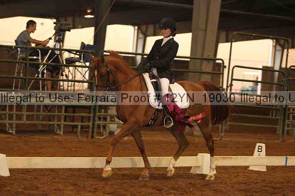 Proof 12yn_19030