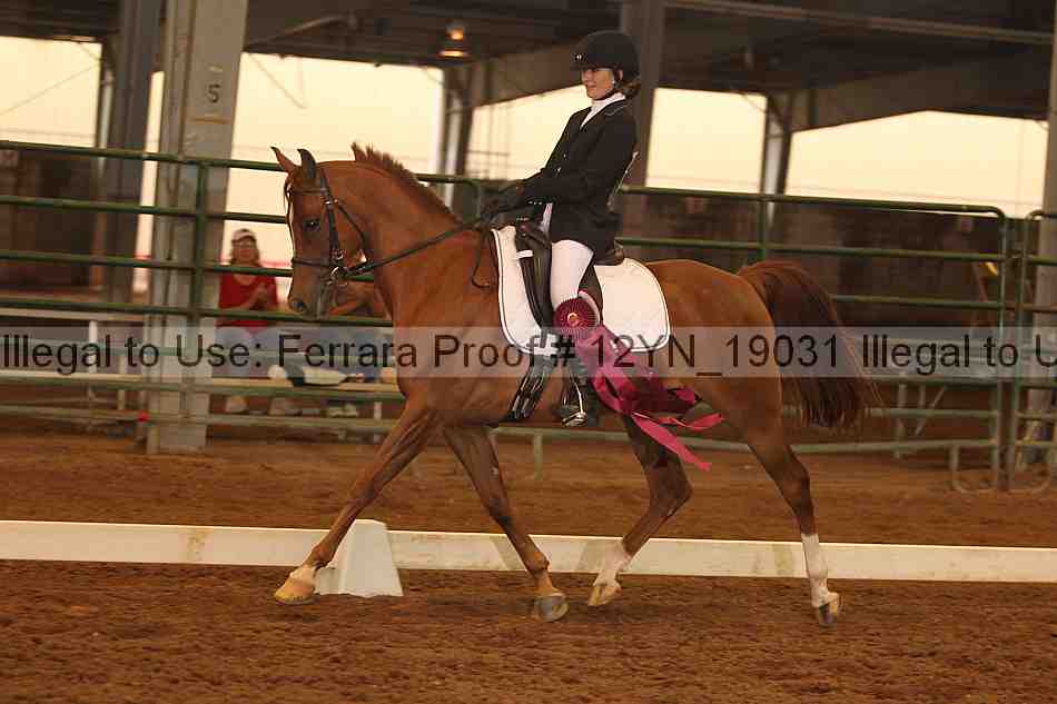Proof 12yn_19031