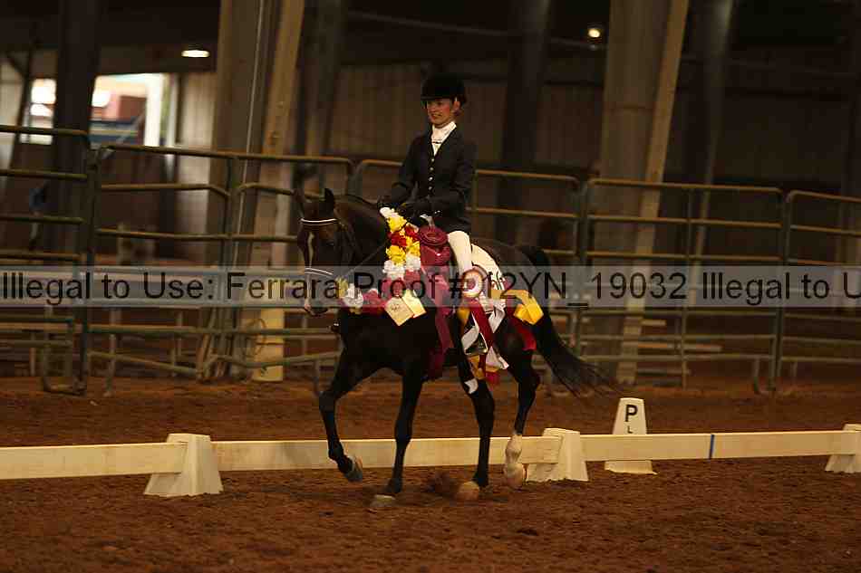Proof 12yn_19032