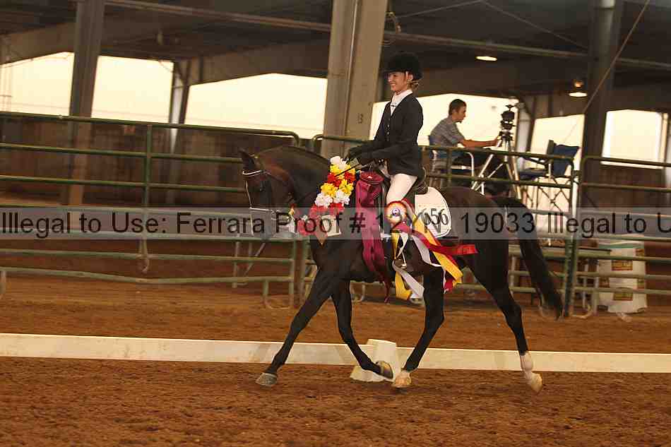 Proof 12yn_19033