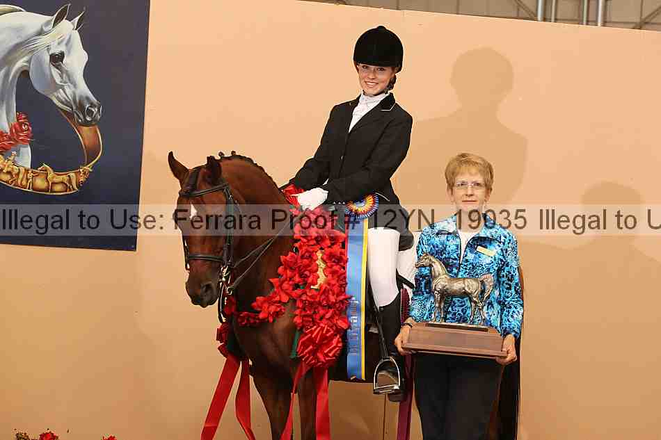 Proof 12yn_19035