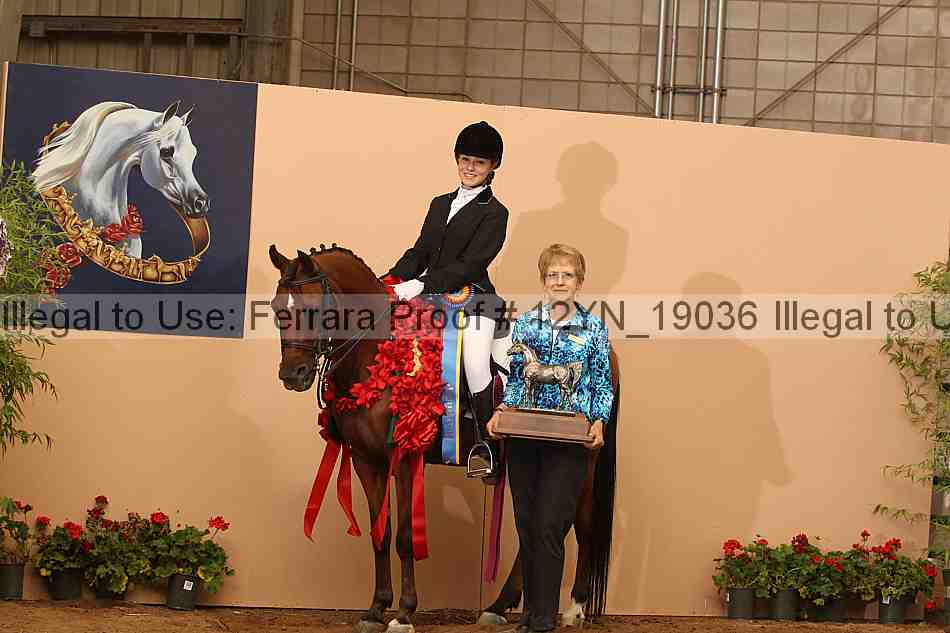 Proof 12yn_19036