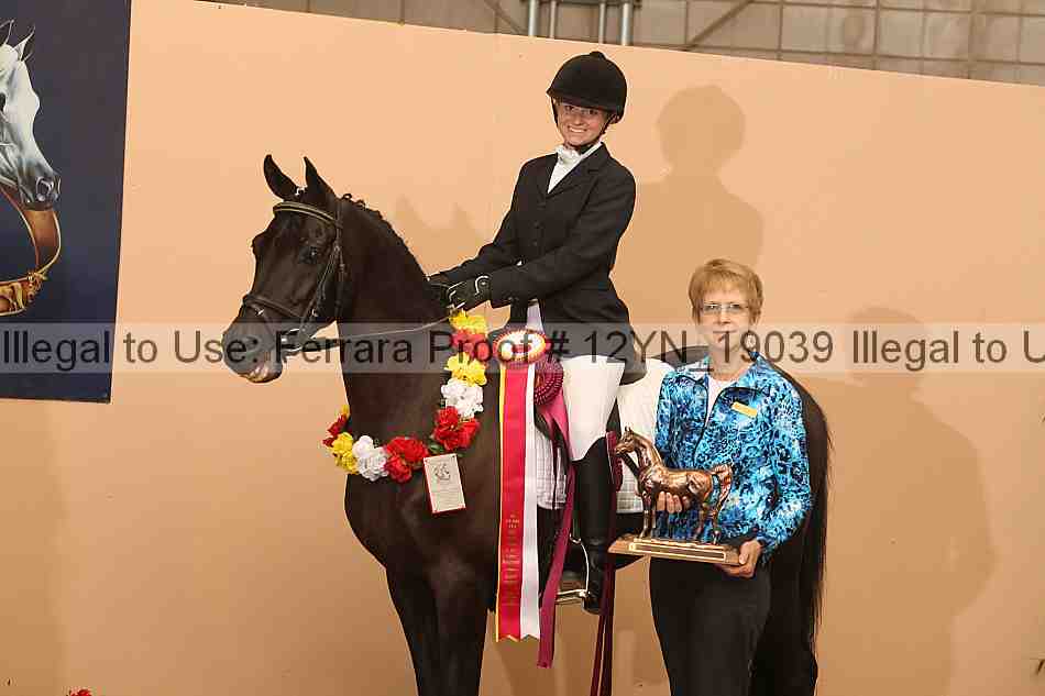 Proof 12yn_19039