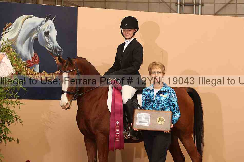 Proof 12yn_19043