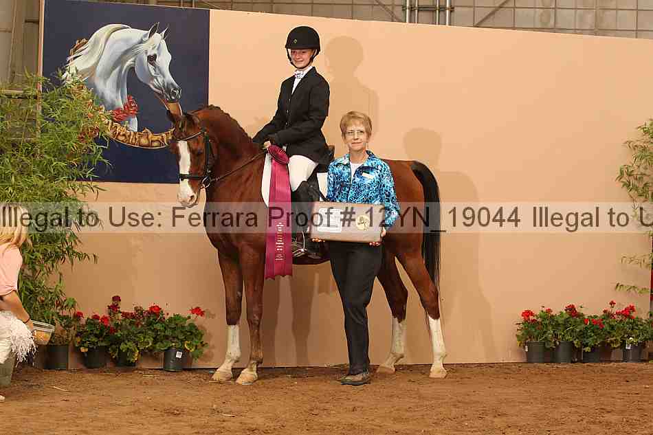Proof 12yn_19044
