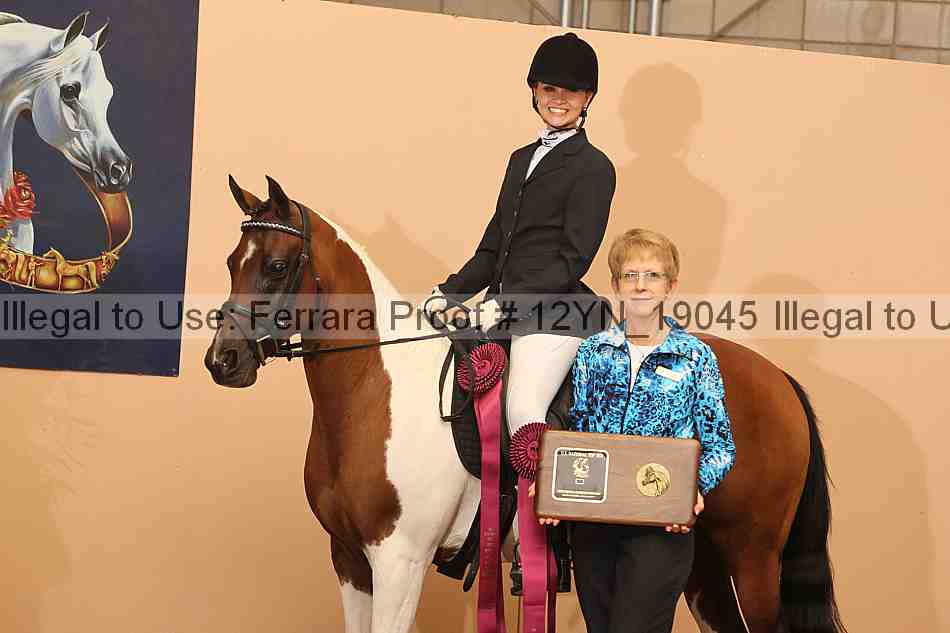 Proof 12yn_19045