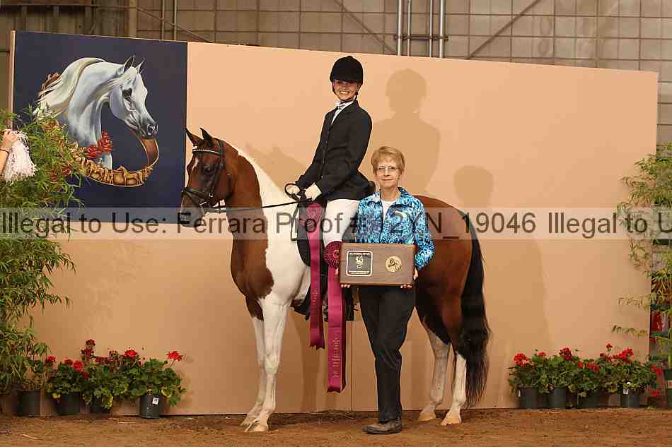 Proof 12yn_19046