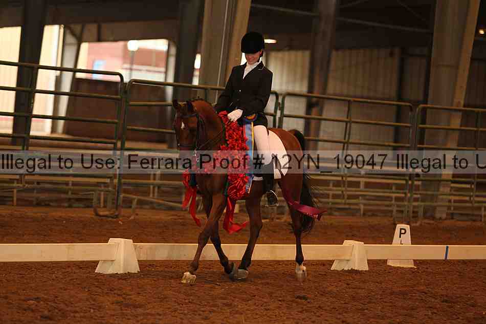 Proof 12yn_19047