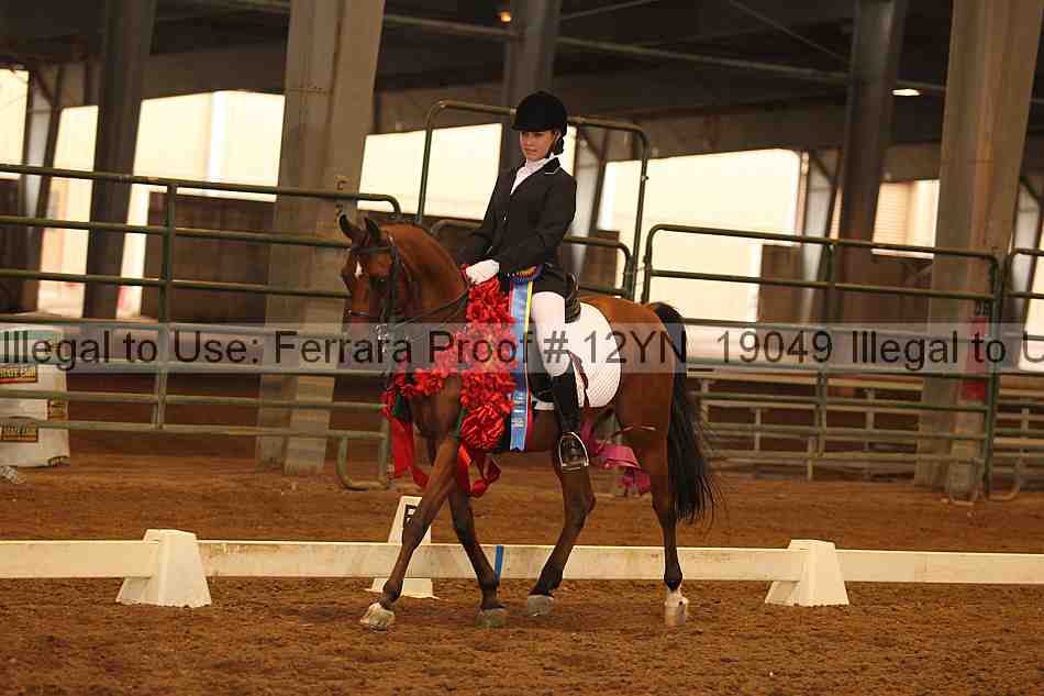 Proof 12yn_19049