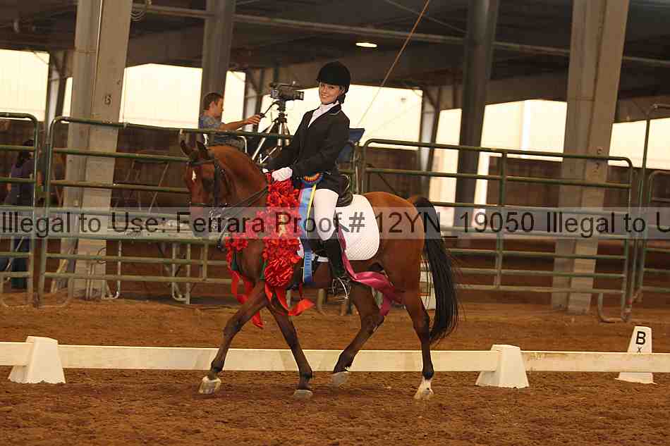 Proof 12yn_19050