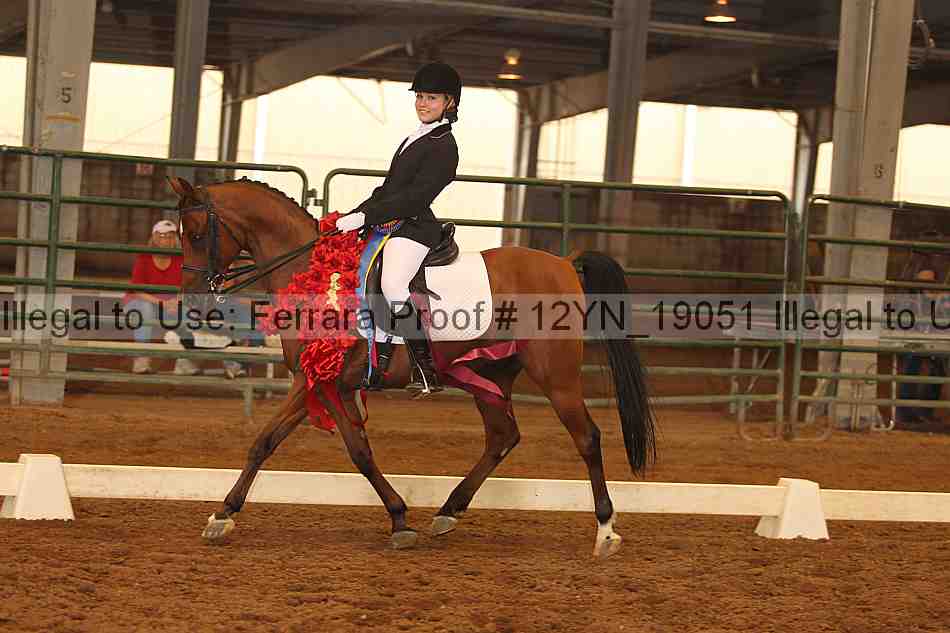 Proof 12yn_19051