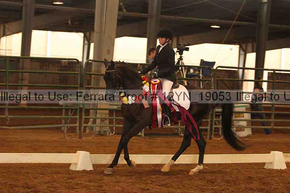 Proof 12yn_19053