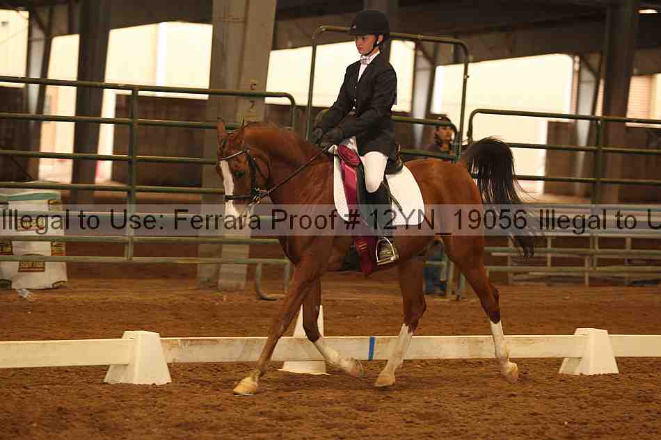 Proof 12yn_19056