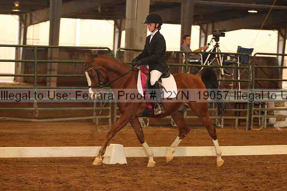Proof 12yn_19057