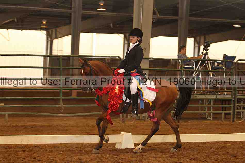 Proof 12yn_19060