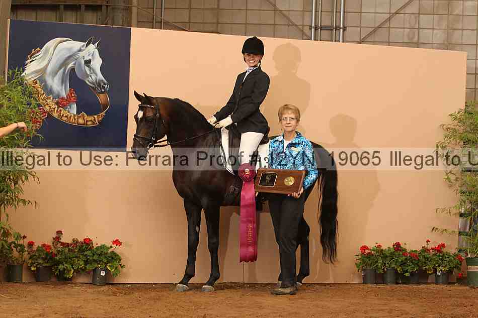 Proof 12yn_19065