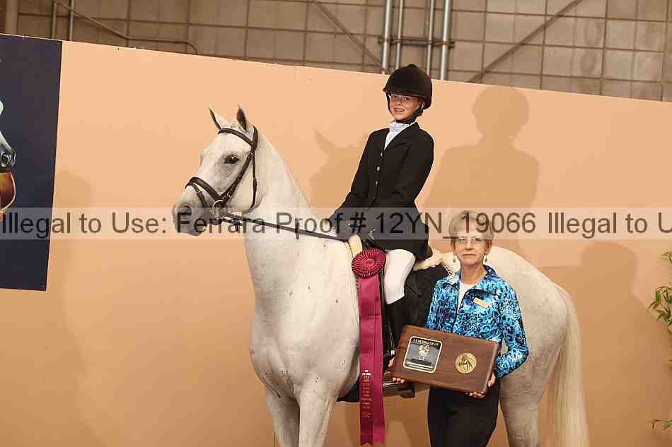 Proof 12yn_19066